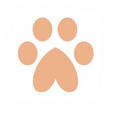 heart paw