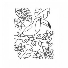 toucan coloring page