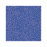 blue background with stars