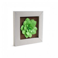 succulent frame