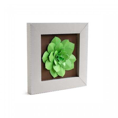succulent frame