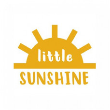 little sunshine