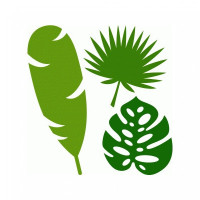 3 tropical leaves