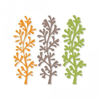 shrub border