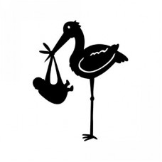 Stork