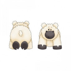 farm sheep
