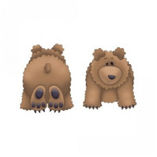 forest bear