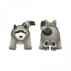 forest raccoon