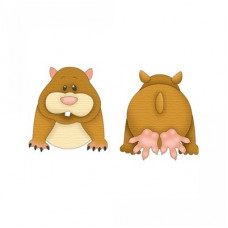 pet hamster