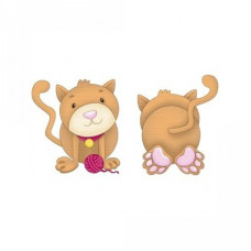 pet cat