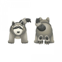 forest raccoon pnc
