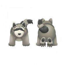 forest raccoon pnc