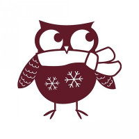winter owl winter owl