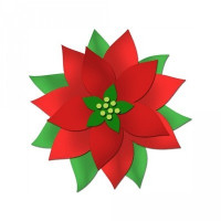 poinsettia