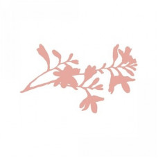 botanique branch
