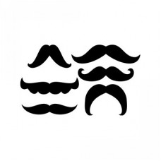 6 moustache set