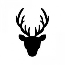 winter stag