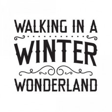 walking in a winter wonderland