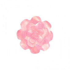 watercolor layered 3d flower