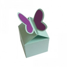 butterfly box