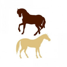 two horses
