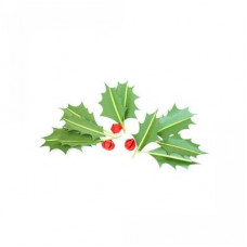 3d holly