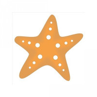 starfish starfish