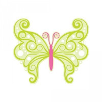 butterfly