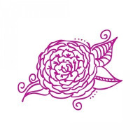 doodled flower doodled flower