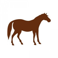 horse horse