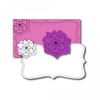 poinsettia flower & card