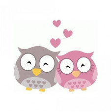 owl love