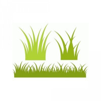 grass border