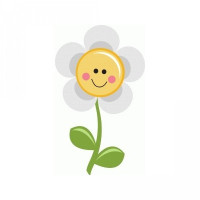 happy daisy flower happy daisy flower