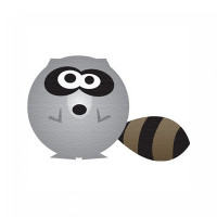 chubby raccoon chubby raccoon