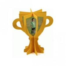 3d trophy frame