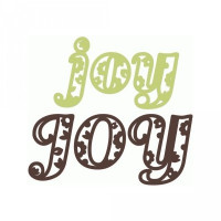 joy paisley words joy paisley words