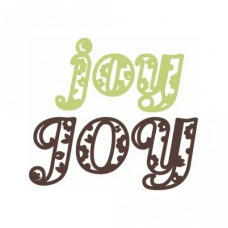 joy paisley words