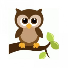 cute owl on a tree branch with leaves