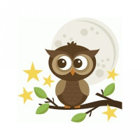 owl with moon
