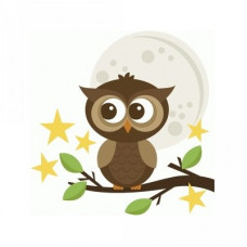 owl with moon
