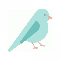 cute bird