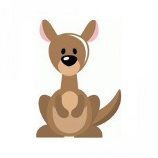 cute kangaroo