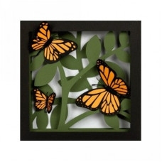3d butterfly shadow box