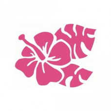hibiscus flower