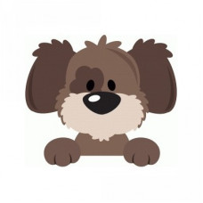 cute puppy peeker