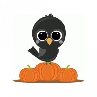 miss kate crow on pumpkins miss kate crow on pumpkins