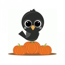 miss kate crow on pumpkins