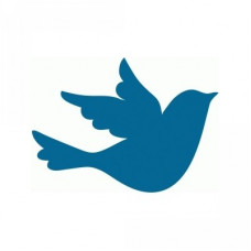dear lizzy - bird