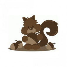 ppbn fall squirrel with acorns